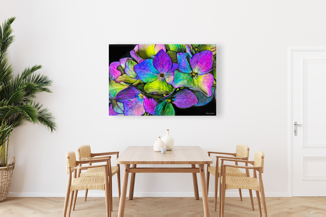 Hydrangea Reproduction