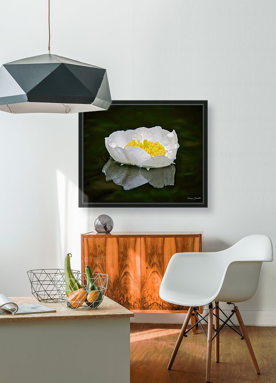 Serenity Reproduction