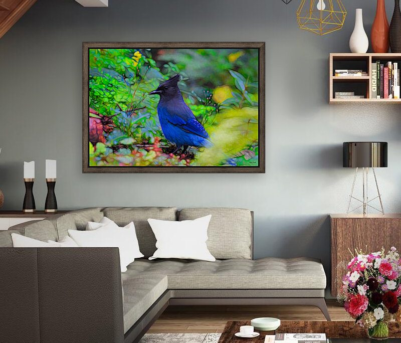 Steller s Jay Reproduction