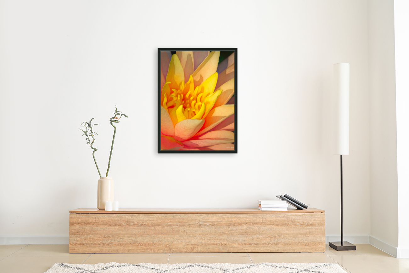 Water lily Reproduction