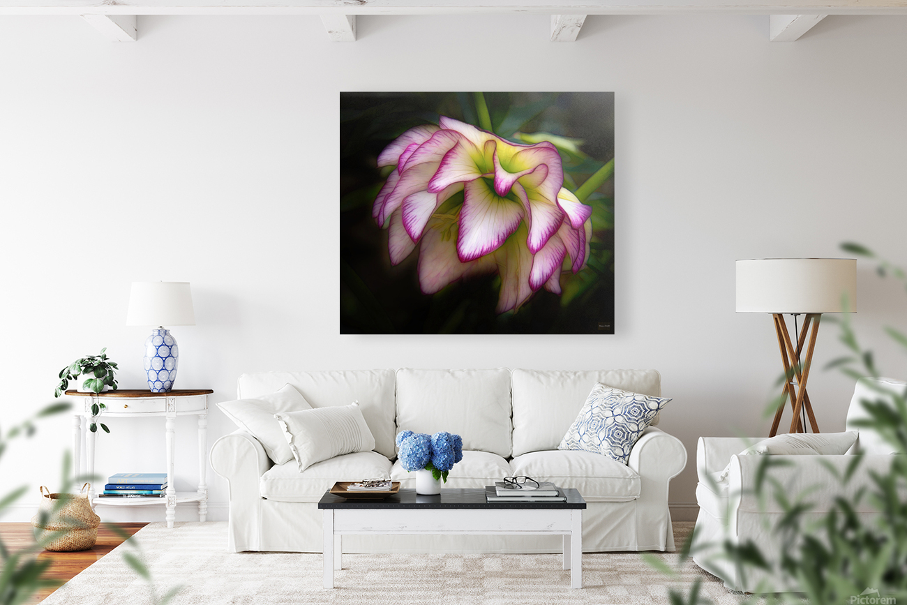 Hellebore stunner Reproduction