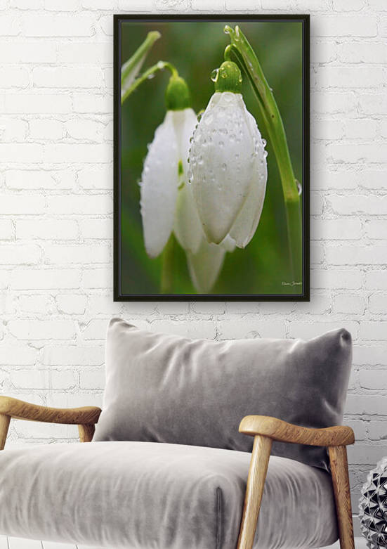 Raindrops on Snowdrops by E Jerauld