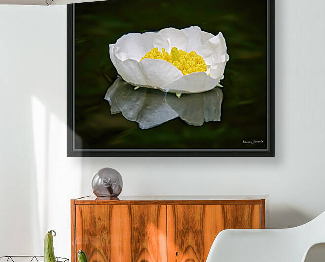 Serenity Reproduction