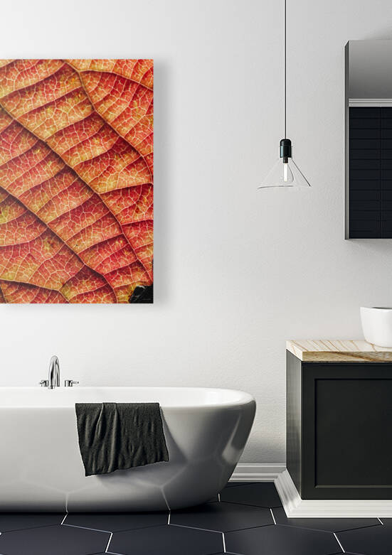 Viburnum venation HDR by E Jerauld