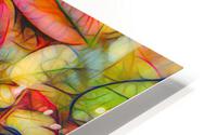 Fall colors 1 HD Metal print
