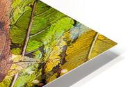 Nature s collage HD Metal print