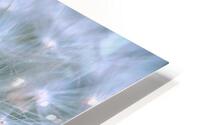 Make a wish HD Metal print