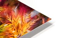 Fall Fireworks HD Metal print