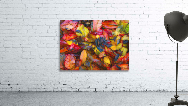 Fall colors 1 Wall Preview