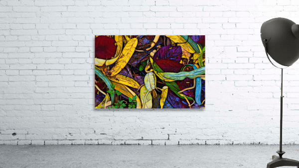 Fall colors 2 Wall Preview