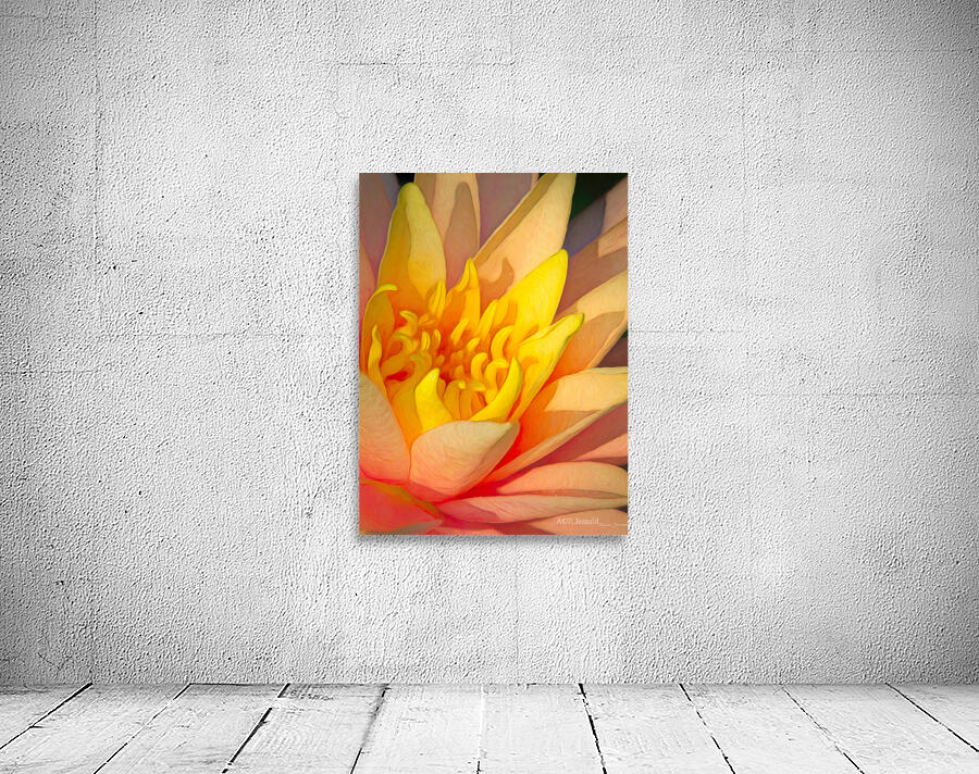 Water lily Wall Preview