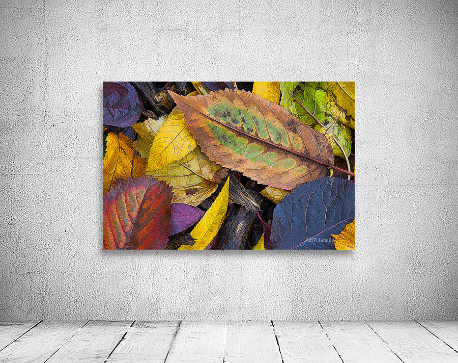 Nature s collage Wall Preview