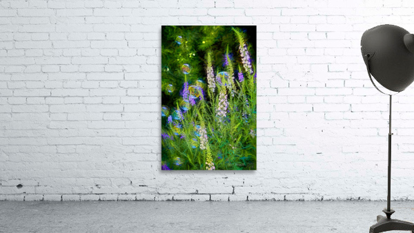Bubbles in the Garden Wall Preview