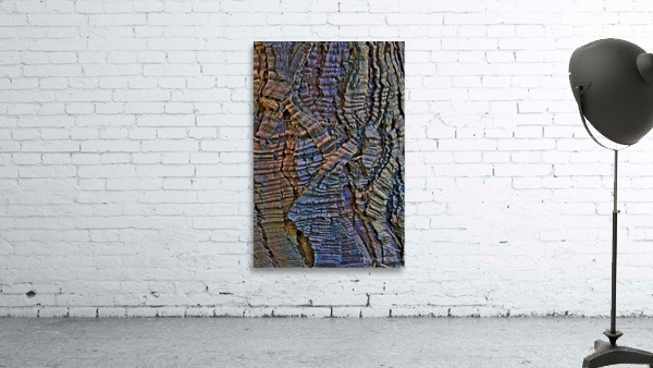 Cedar bark for texture Wall Preview