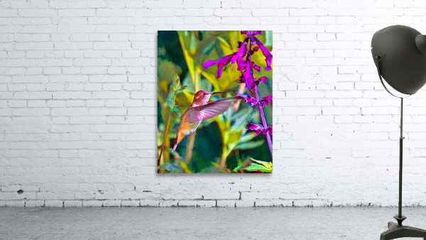 Hummingbird Brilliance Wall Preview