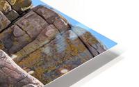 Otter Cliffs HD Metal print