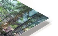 Jordan Pond HD Metal print