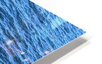 Otter Cliffs HD Metal print