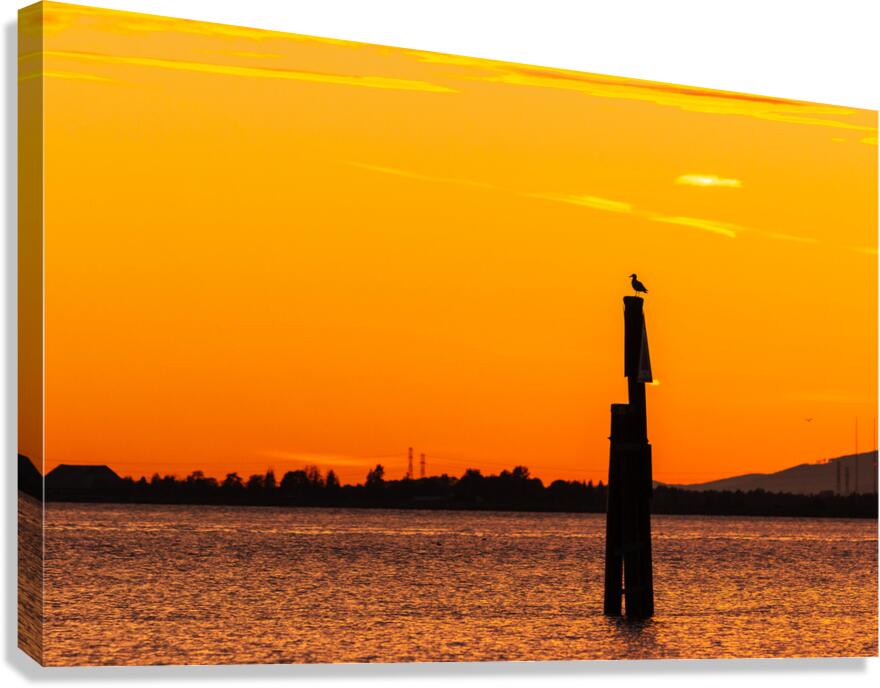 Golden Solitude