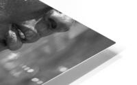 First Wife HD Metal print