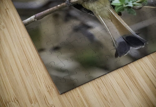 Bee Eater Two Dusty Travelers puzzle