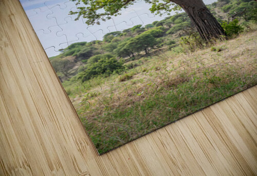 Manyara Giraffe Two Dusty Travelers puzzle