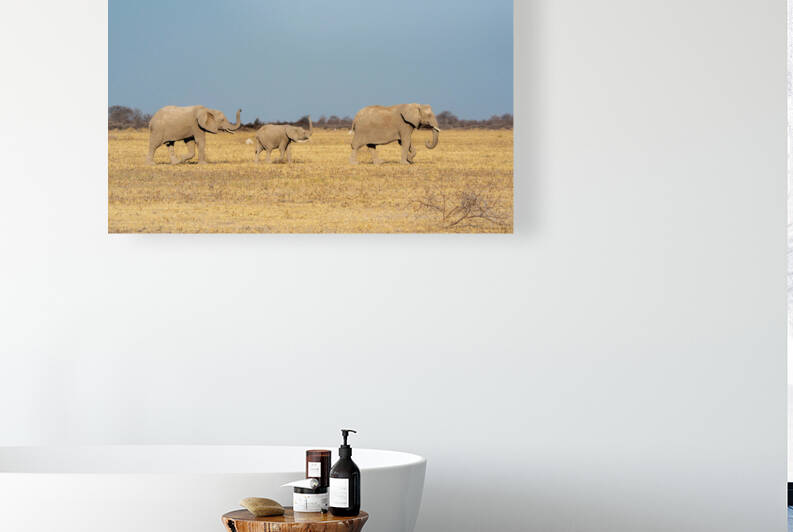 Elephants on the Move 2 - Nxai Pans National Park Botswana by Two Dusty Travelers