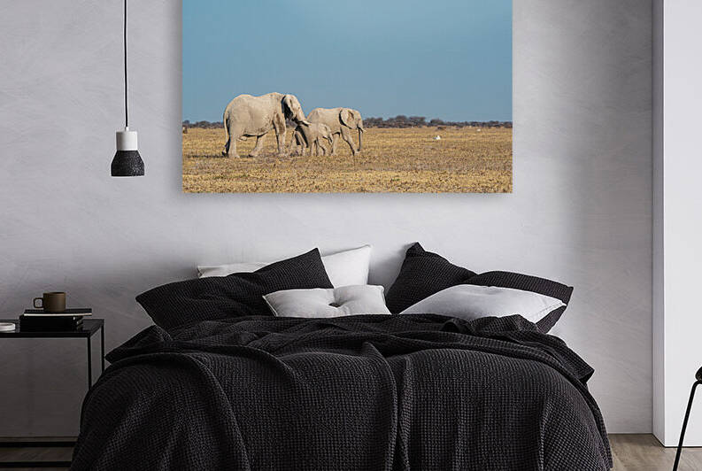 Elephants on the move - Nxai Pans National Park Botswana by Two Dusty Travelers