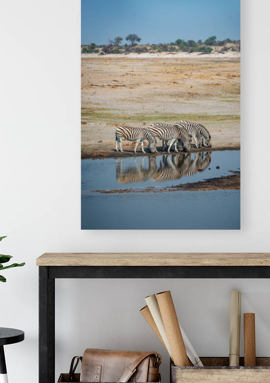Zebra Reflections - Makgadikgadi Pans National Park Botswana by Two Dusty Travelers