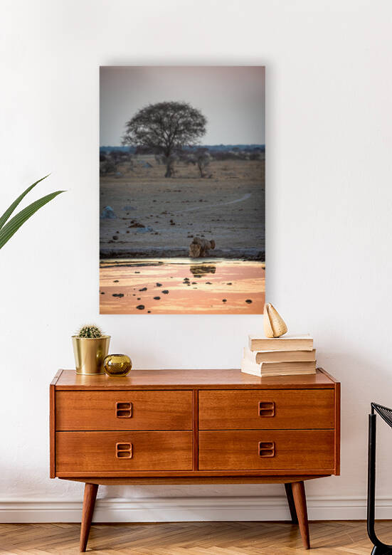 Lion Reflections - Nxai Pans National Park Botswana by Two Dusty Travelers
