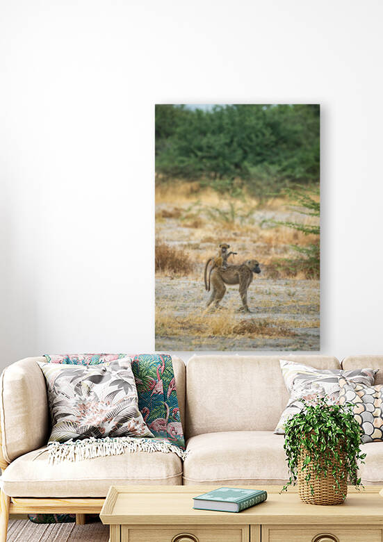 Baboon Baby and Mama - Moremi National Park Botswana by Two Dusty Travelers
