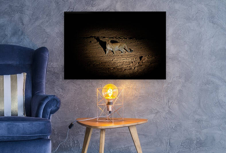 Leopard in the Night 2 - South Luangwa National Park Zambia by Two Dusty Travelers