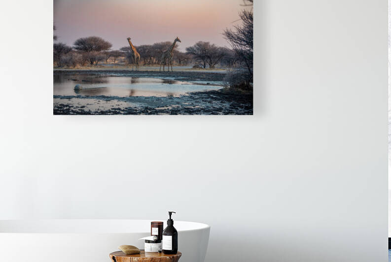 Giraffe Waterhole Sunset  - Central Kalahari Game Reserve Botswana by Two Dusty Travelers