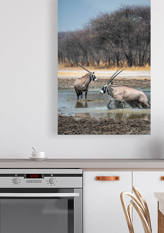 Gemsbok in the Watering Hole - Central Kalahari Game Reserve Botswana by Two Dusty Travelers
