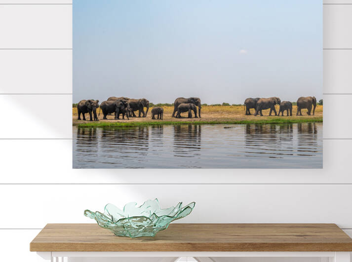 Elephant Reflections 2 - Chobe National Park Botswana by Two Dusty Travelers