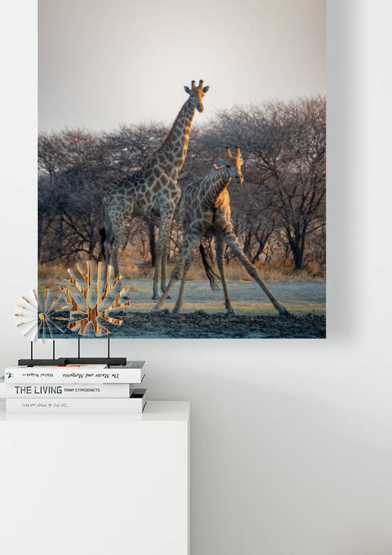 Giraffes at the Water Hole - Central Kalahari Game Reserve Botswana by Two Dusty Travelers
