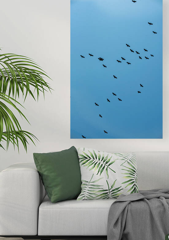 A Flock Flying Above - Khwai Community Trust Botswana by Two Dusty Travelers