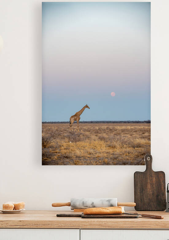 Giraffe Sunrise 3 - Central Kalahari Game Reserve Botswana by Two Dusty Travelers
