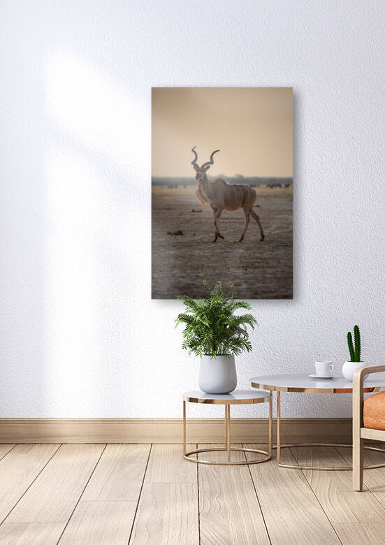Mysterious Kudu 2 - Central Kalahari Game Reserve Botswana by Two Dusty Travelers