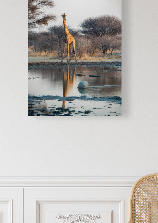 Giraffe at the Water Hole - Central Kalahari Game Reserve Botswana by Two Dusty Travelers