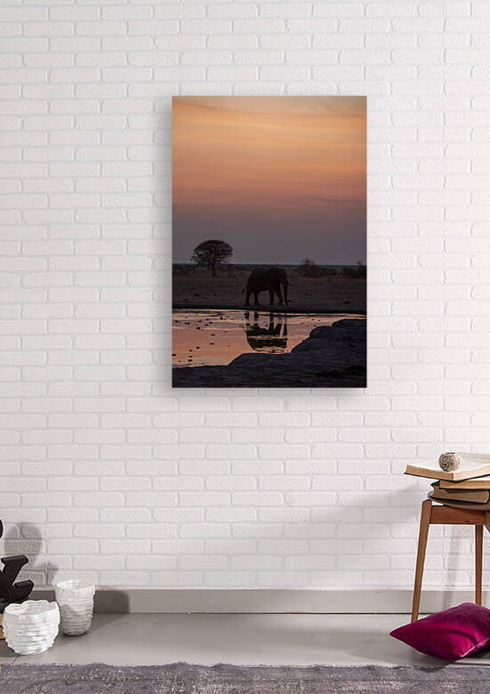 Elephant Reflections at Dusk - Nxai Pans National Park Botswana by Two Dusty Travelers