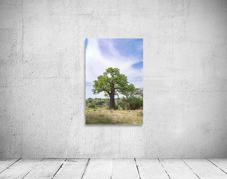 Manyara Giraffe Wall Preview