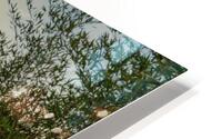 Ati Entre Verdes HD Metal print