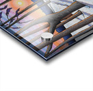 Woods Walk Acrylic print