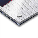 Blood Moon Acrylic print