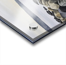  Dog on a Rocky Shore  Acrylic print