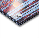  Blue Aspens at Dusk Acrylic print