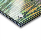 Lunch Time Acrylic print