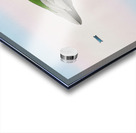 Crystal Cape Acrylic print