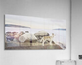  Dog on a Rocky Shore  Acrylic Print